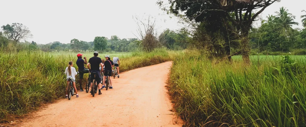 Explore Sri Lanka at Your Own Pace