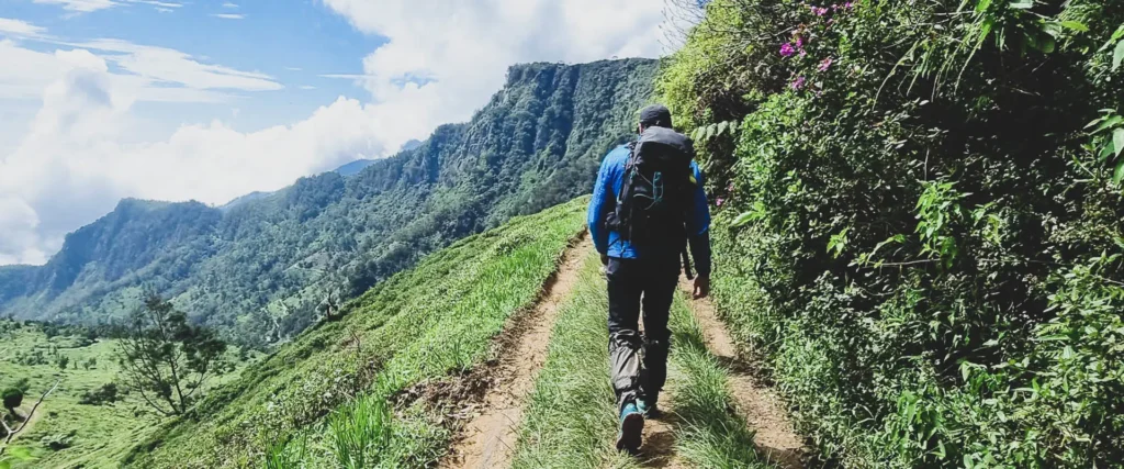 Hiking & Trekking Experiences