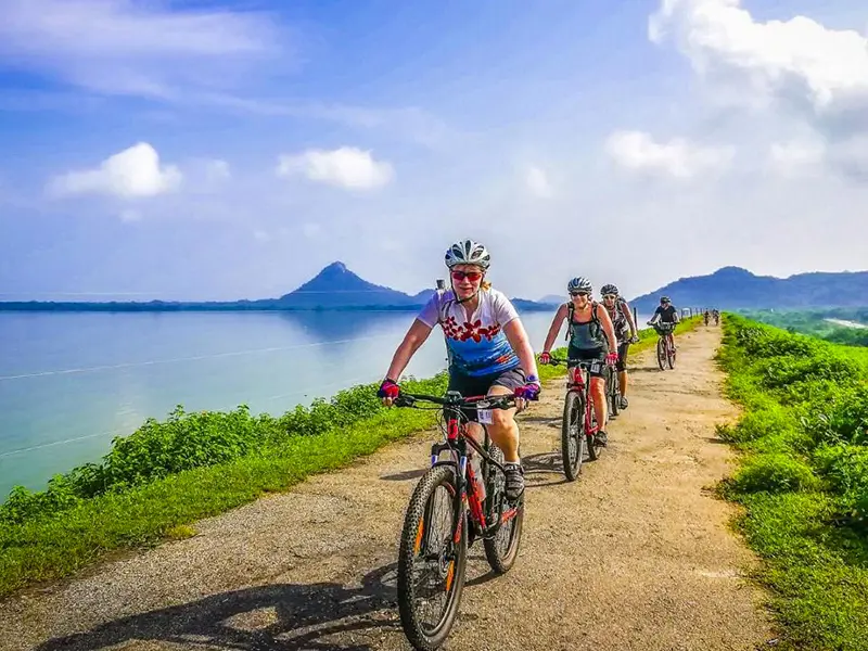 Cycling, Tree Planting & Community Care